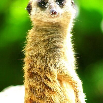 Profile Picture of Andrew Heffron (@AndyHef) on Twitter