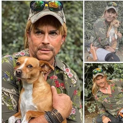 Profile Picture of Matthew Colonna (@matthew_colonna) on Twitter