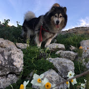 Profile Picture of Stephen Agius (@sastongbird) on Youtube