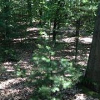 Profile Picture of Chris Derose (@chris-derose-3) on Quora