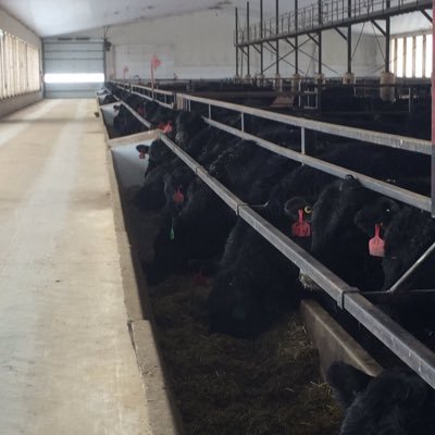 Profile Picture of Steve Eby (@steveebyfarms) on Twitter