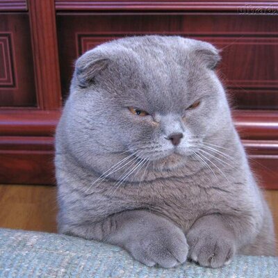 Profile Picture of Daniel Pabon (@danielpabon20) on Twitter