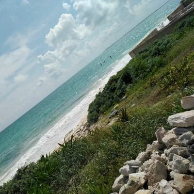 Profile Picture of Arthur Tovar (@ArthurTovar12) on Twitter