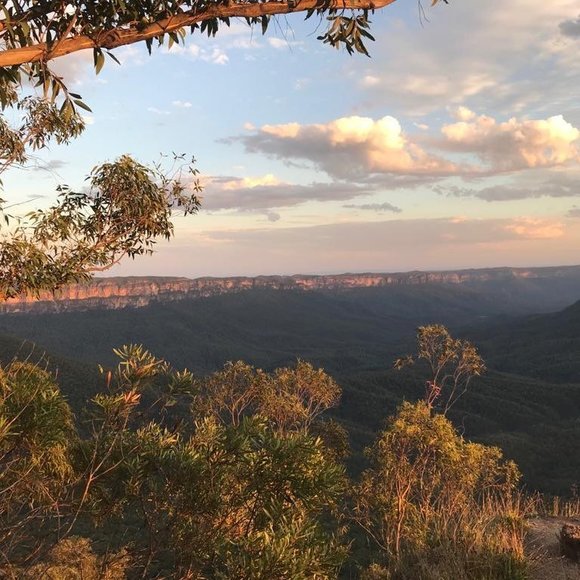 Améra Fakhry - Poshmark Profile Picture of Améra Fakhry (@fakhryamera) on Poshmark