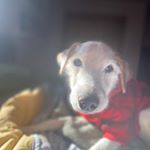 Profile Picture of Nancy Mackowski (@nemack007) on Instagram