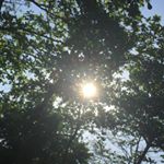 Profile Picture of Kurt Lawrence Castro (@kurt_kurt_go) on Instagram