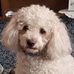 Profile Picture of Léo Brouwers (@leo.brouwers.3304) on Facebook