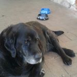 Profile Picture of andrew koch (@andrewkoch8) on Instagram