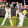Profile Picture of ICC Women's Cricketer of the Yearon Wikipedia