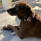 Profile Picture of Juan Catala (@juancatala9134) on Youtube