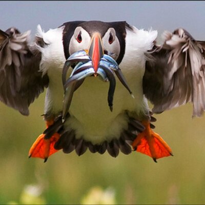 Profile Picture of Gary Lewis (@garyl61) on Twitter