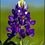 Profile Picture of Bill Cahill (@williamcahill1) on Instagram