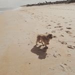 Profile Picture of Tamara Wicks (@tamaleros820) on Instagram