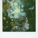 Profile Picture of Glenn Kilgore (@glennkilgore) on Instagram