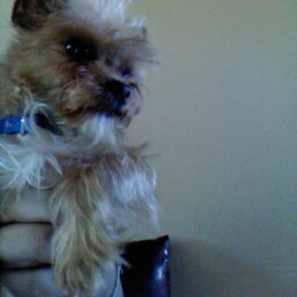 Profile Picture of Lucia Madrigal (@lmadrigal79) on Poshmark