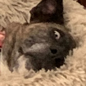 Profile Picture of Nolan Bailey (@Videoclipgodd) on Youtube