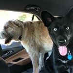 Profile Picture of Corbin and Murphy (@corbinmurphys_mom) on Instagram