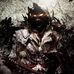 Profile Picture of Jacob Freese (@jacob.freese.714) on Facebook