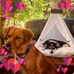 Profile Picture of Manuela Grömling (@manuela.gromling) on Facebook