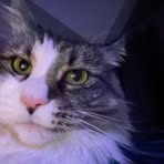 Profile Picture of Andrew Bissell (@andrew.bissell.2025) on Facebook