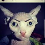 Profile Picture of Steve Rivas (@steve_rivas95) on Instagram