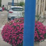 Profile Picture of Cecile Michel (@cecile.michel.549) on Instagram