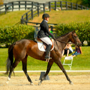 Profile Picture of Marilyn Meyer (@marilynmeyer1698) on Youtube