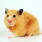 Profile Picture of Adam Zima (@adam_123456789101112) on Instagram