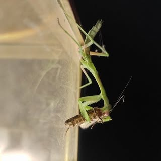 Profile Picture of Kevin Barker (@barker_kevin) on Instagram