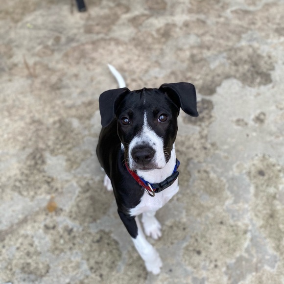 Philip Sullivan - Poshmark Profile Picture of Philip Sullivan (@philipsully) on Poshmark