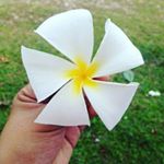 Profile Picture of Kim Travero (@kimtravero) on Instagram