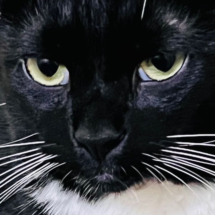 Profile Picture of Jenn Ruff (@jenniferruff100) on Tiktok
