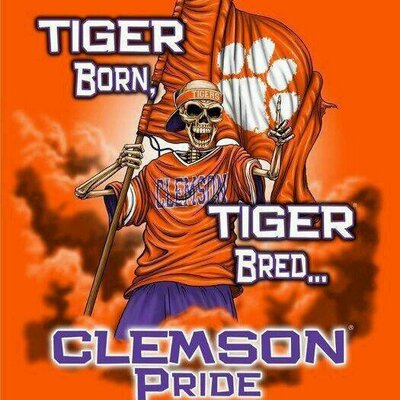 Profile Picture of Amanda McCollum (@amanda_Clemson) on Twitter