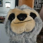 Profile Picture of John Higareda (@higaredajohn) on Instagram