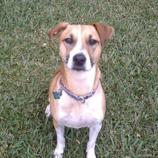 Profile Picture of Steve Creech (@steve.creech.35) on Facebook