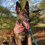 Profile Picture of Athena (@athena_quinn18) on Instagram