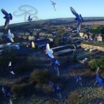 Profile Picture of Brian barley (@roundtuitphotography) on Instagram