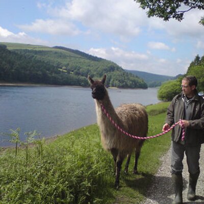 Nick Chandley - Twitter Profile Picture of Nick Chandley (@NickChandley) on Twitter