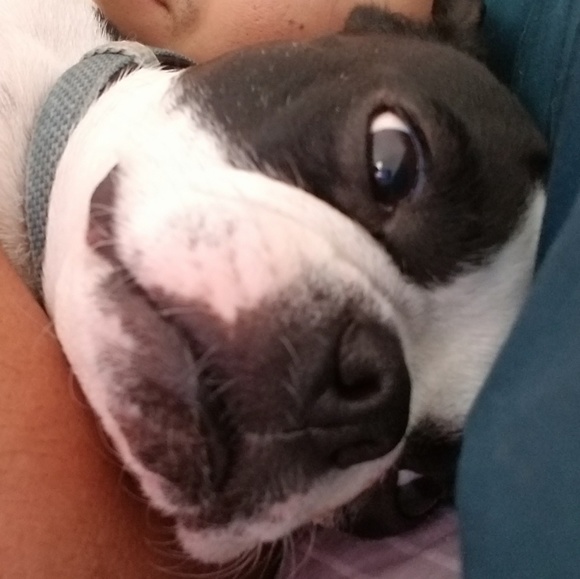 Profile Picture of Saul Castanon (@itzsaulgood) on Poshmark