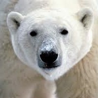 Profile Picture of Max Morgan (@max-morgan-28) on Quora