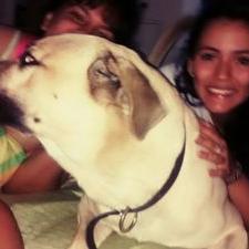 Profile Picture of Jade Rachid (@anyleon93) on Twitter