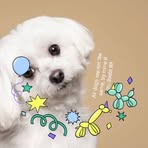 Profile Picture of David Haral (@David-Haral) on Facebook