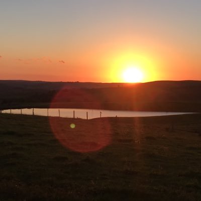 Profile Picture of Jaime Nora (@JaimeNora5) on Twitter