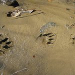 Profile Picture of Duncan Sawyer (@duncansawyer) on Instagram