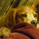 Profile Picture of Brent Kathy Squires (@brentkathysquires) on Instagram