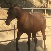 Profile Picture of Jan Calof (@jancalof) on Pinterest