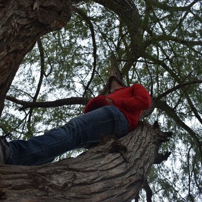 Profile Picture of Lalo Torres Alvarez (@economono) on Twitter