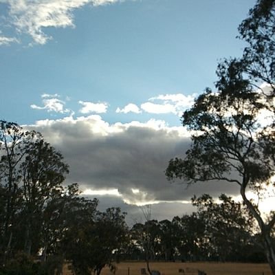 Profile Picture of Aaron Loveday (@AaronLoveday3) on Twitter