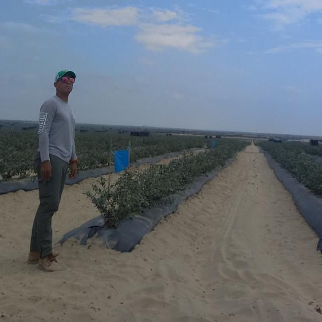 Profile Picture of Arturo (@luis_arturomb) on Tiktok