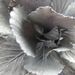 Profile Picture of Antonio Blanco Cope (@ablancocope) on Pinterest